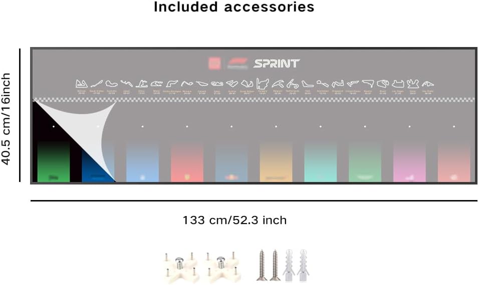 F1 Sprint 10-Car Racing Model Collection Wall Display